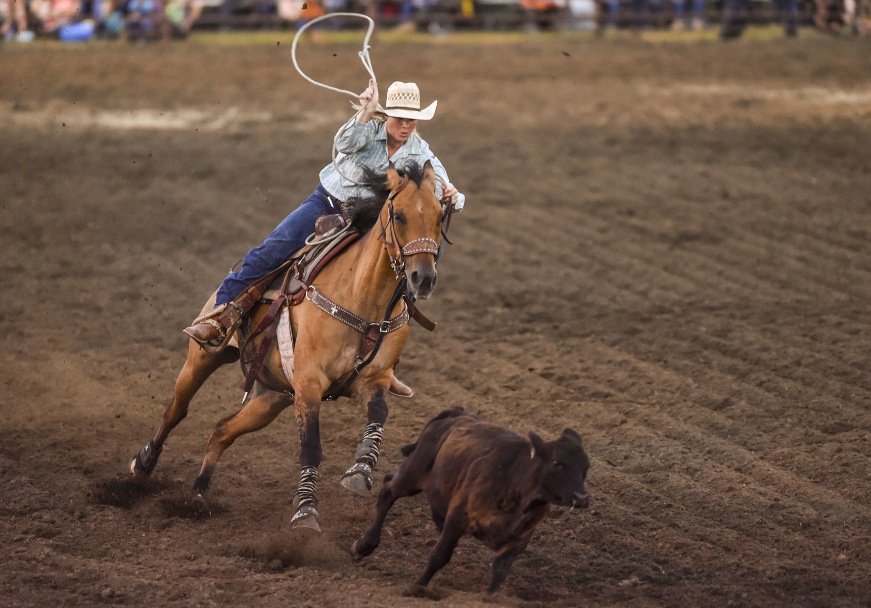 081619-mda-nws-rodeo-25.jpg
